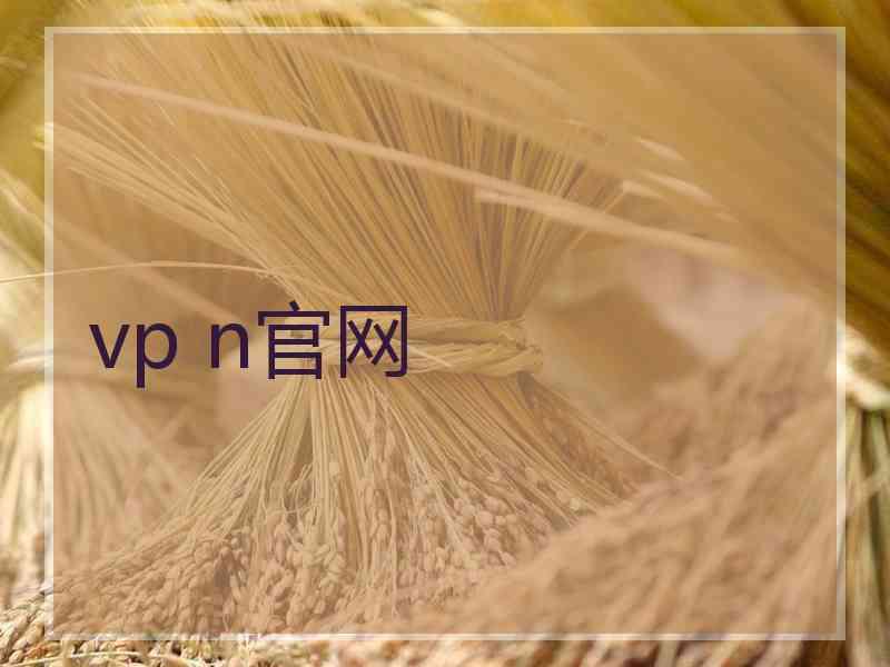 vp n官网