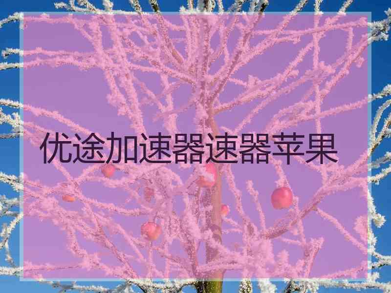 优途加速器速器苹果