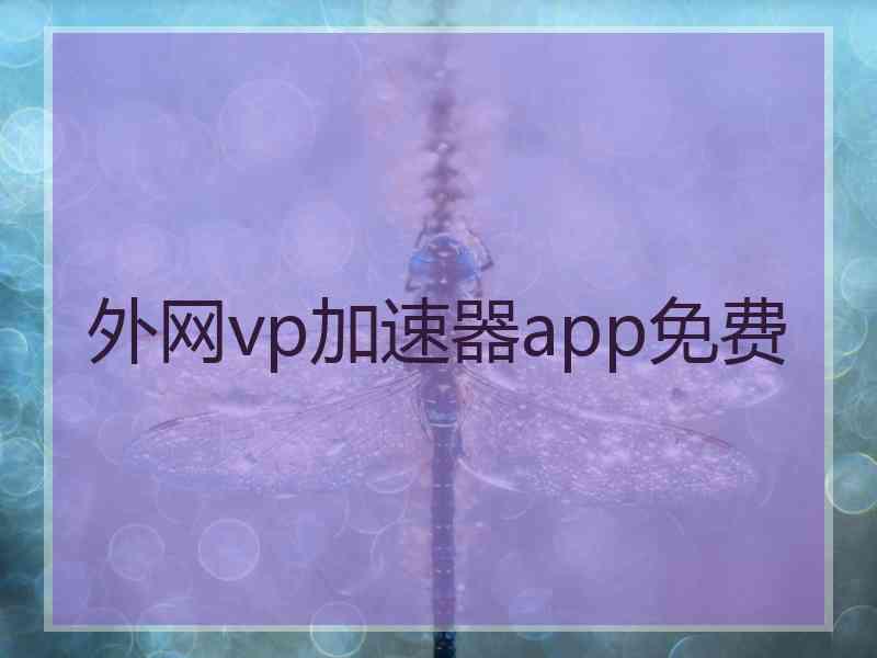 外网vp加速器app免费