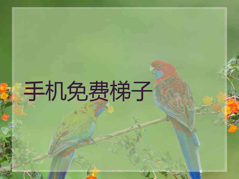 手机免费梯子