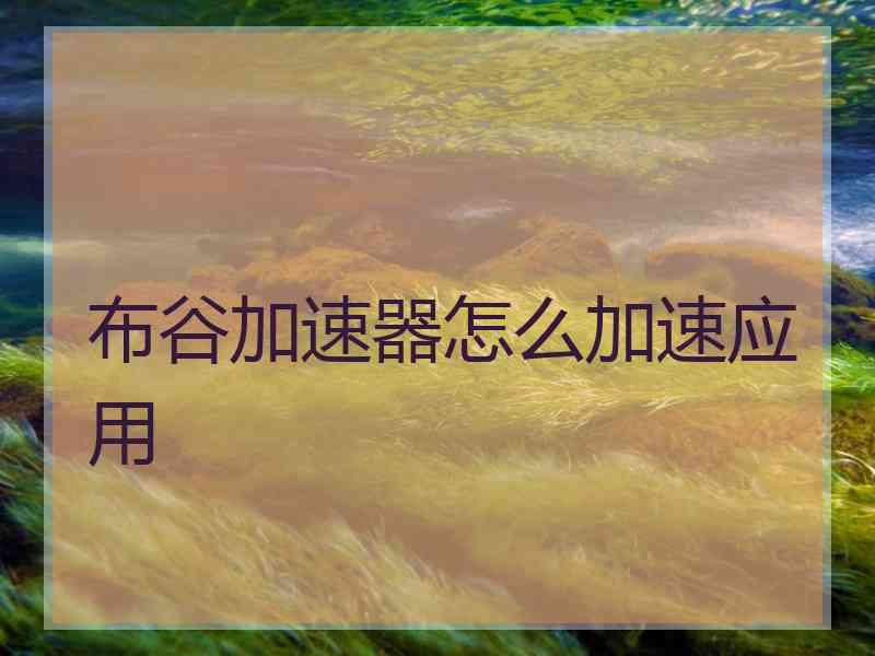 布谷加速器怎么加速应用