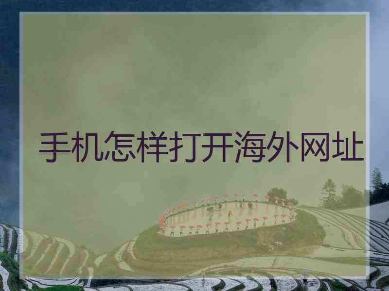 手机怎样打开海外网址