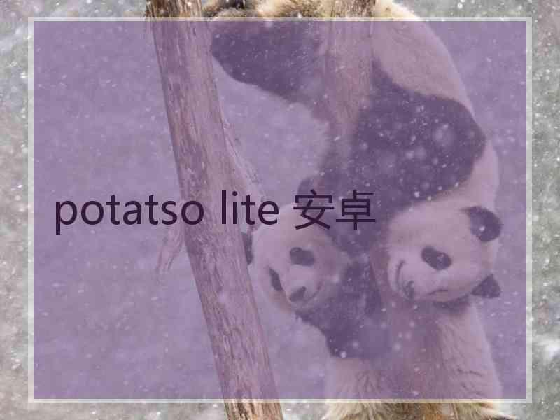 potatso lite 安卓