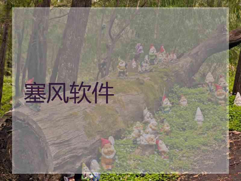 塞风软件