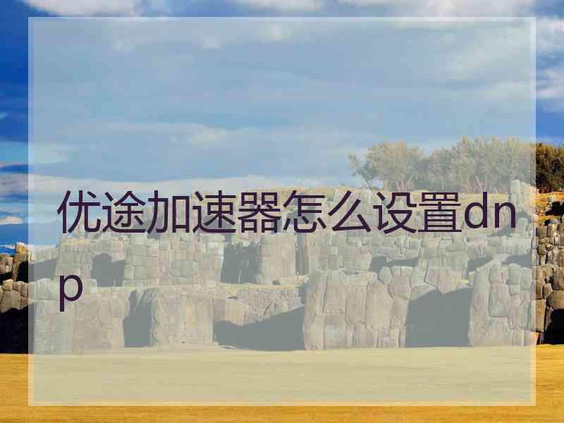优途加速器怎么设置dnp