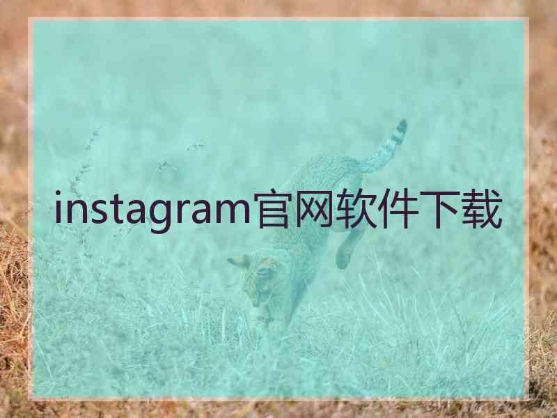 instagram官网软件下载