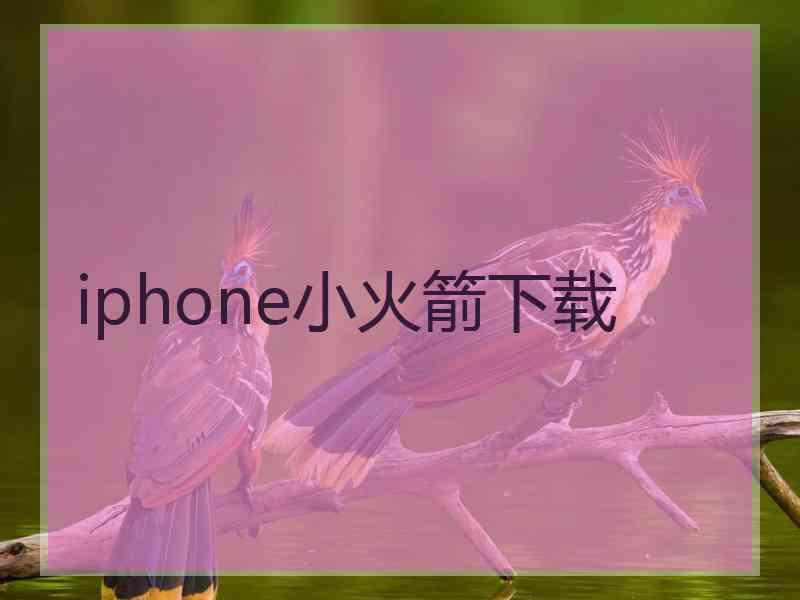 iphone小火箭下载