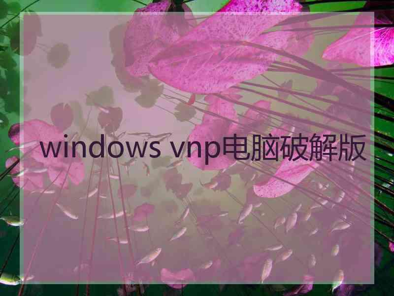 windows vnp电脑破解版