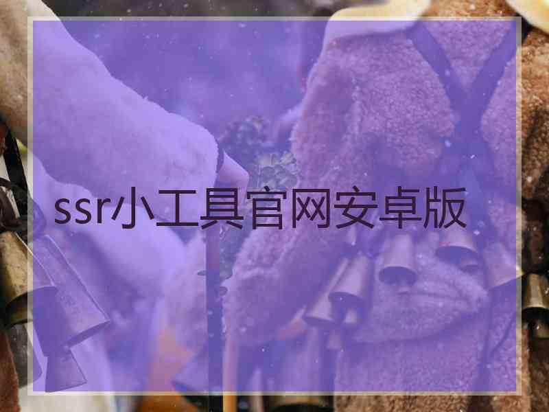 ssr小工具官网安卓版