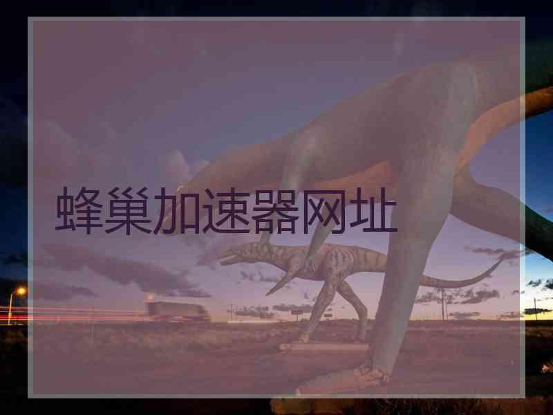蜂巢加速器网址