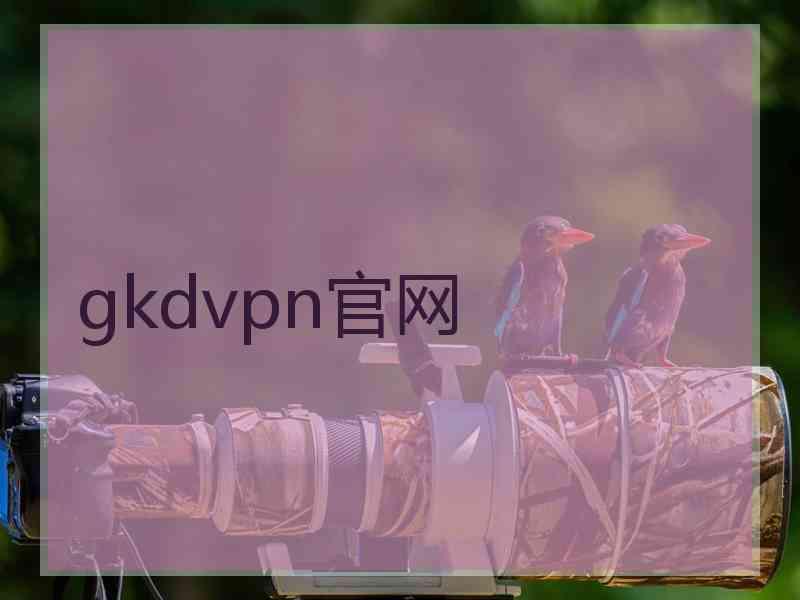 gkdvpn官网