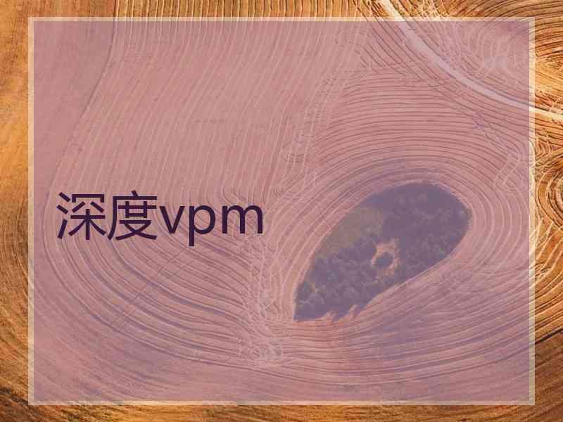 深度vpm
