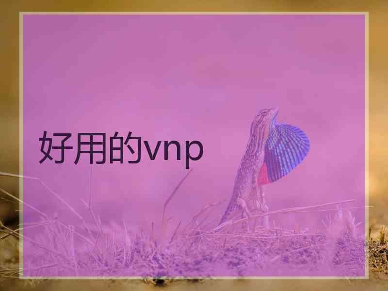 好用的vnp