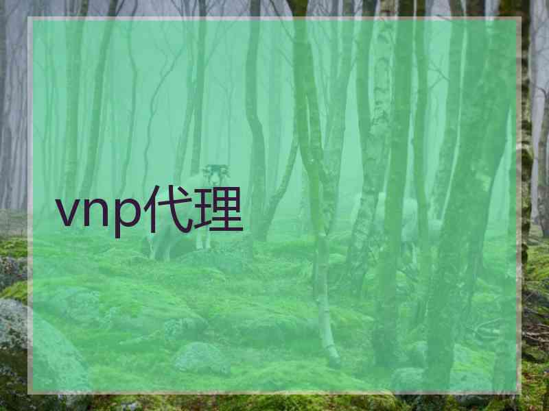 vnp代理