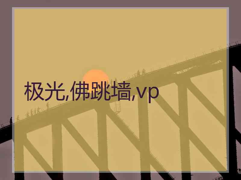极光,佛跳墙,vp