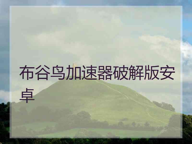 布谷鸟加速器破解版安卓