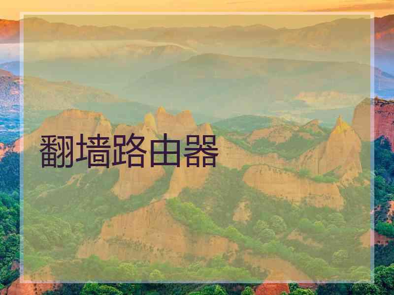 翻墙路由器