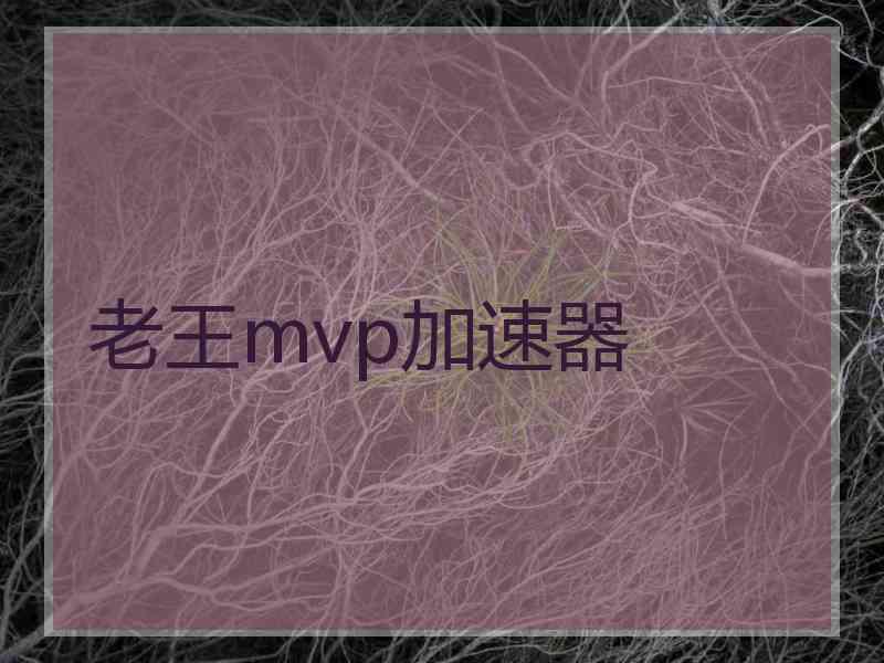 老王mvp加速器