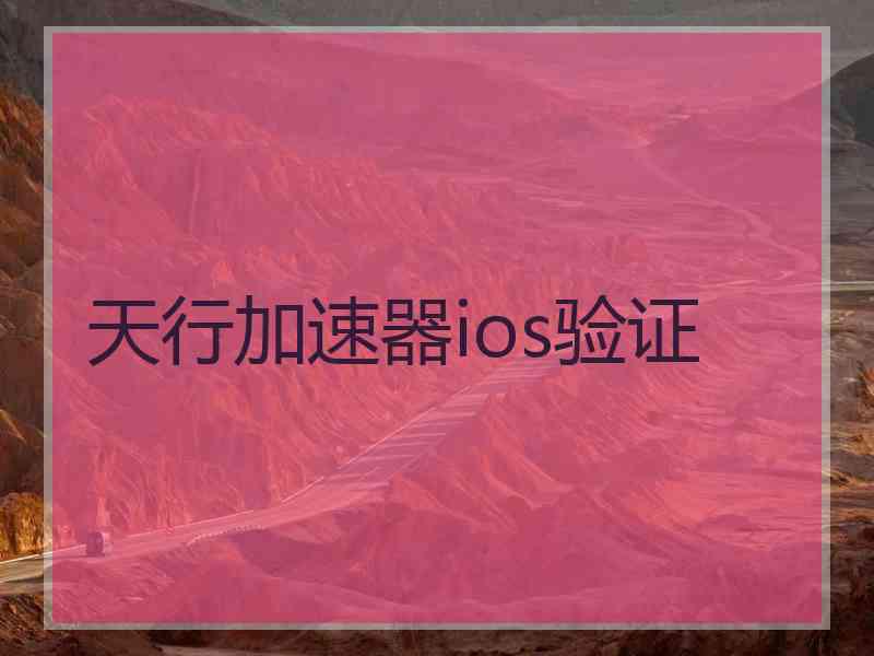 天行加速器ios验证