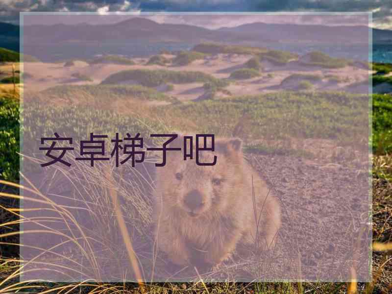 安卓梯子吧