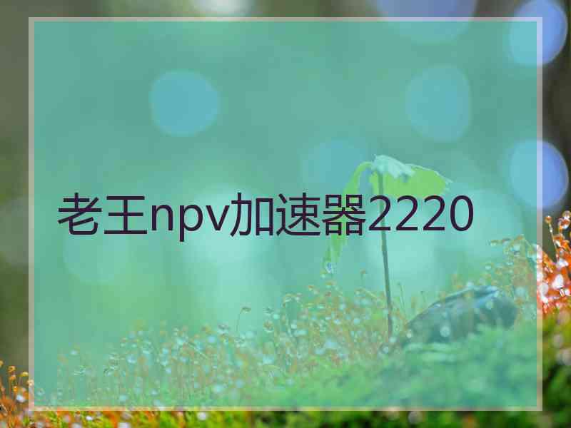 老王npv加速器2220