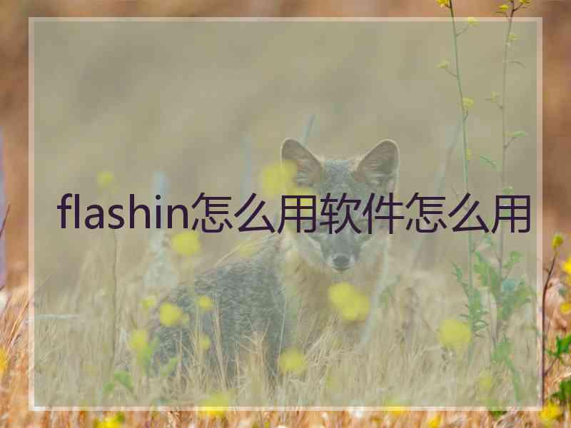 flashin怎么用软件怎么用