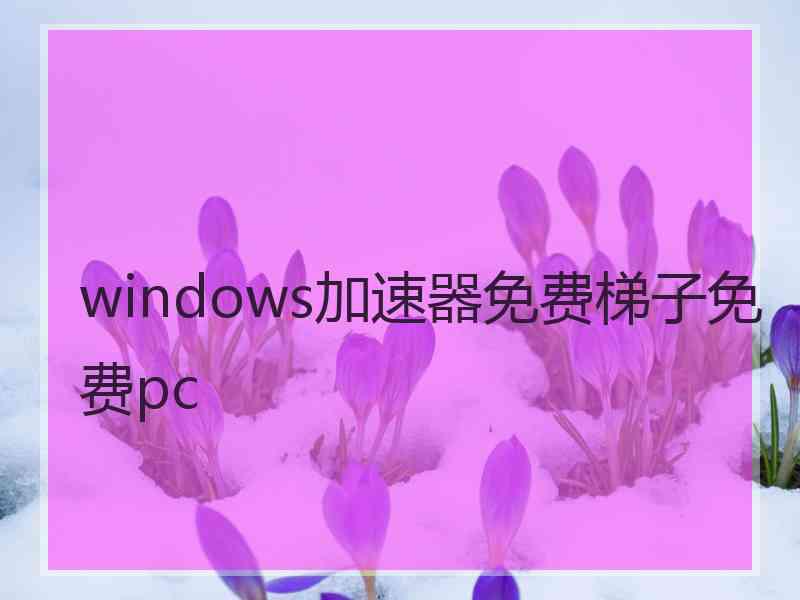 windows加速器免费梯子免费pc