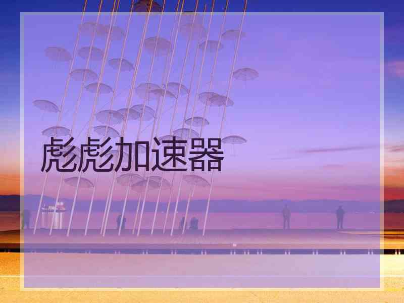 彪彪加速器