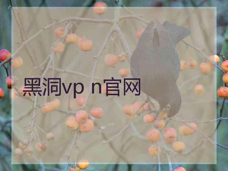 黑洞vp n官网