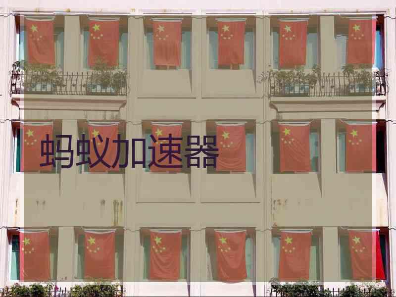 蚂蚁加速器
