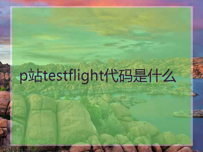 p站testflight代码是什么