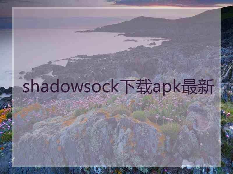 shadowsock下载apk最新