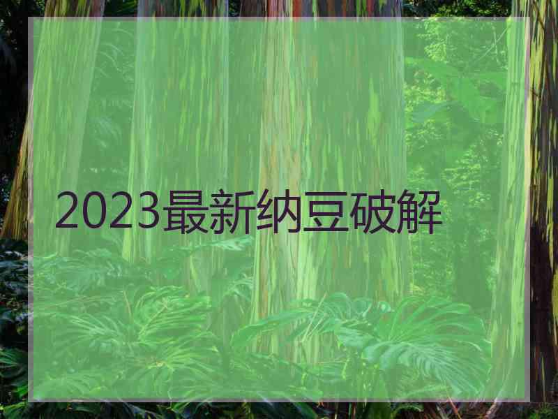 2023最新纳豆破解
