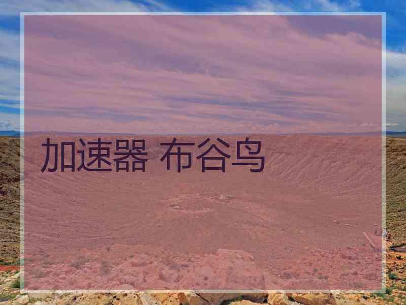 加速器 布谷鸟