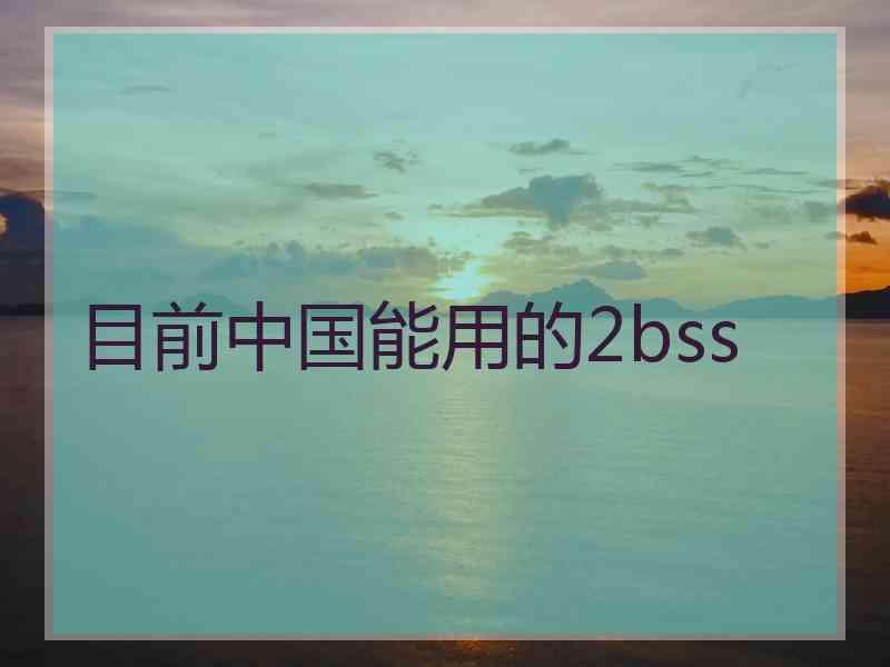 目前中国能用的2bss