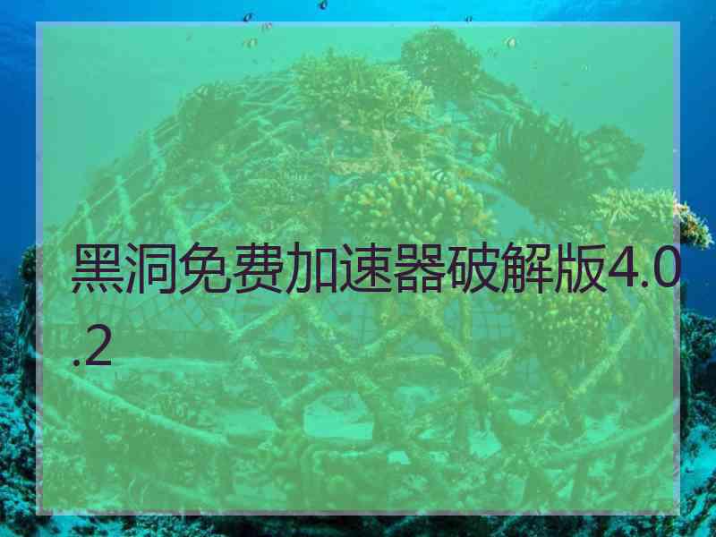 黑洞免费加速器破解版4.0.2