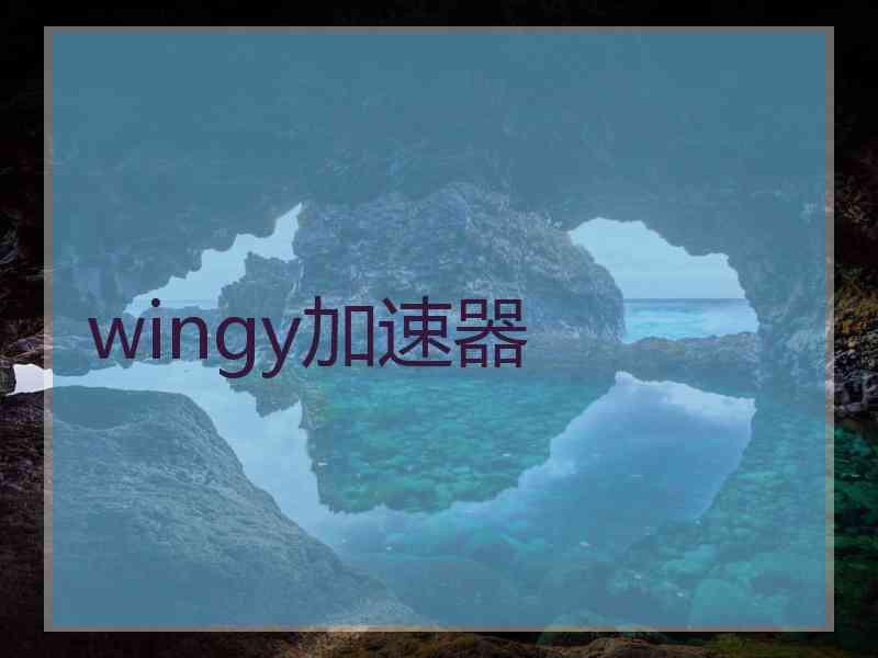 wingy加速器