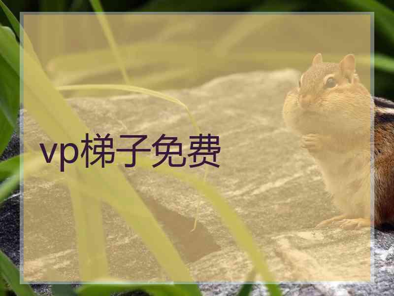 vp梯子免费