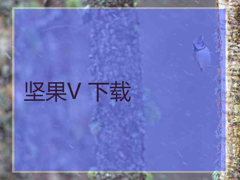 坚果V 下载