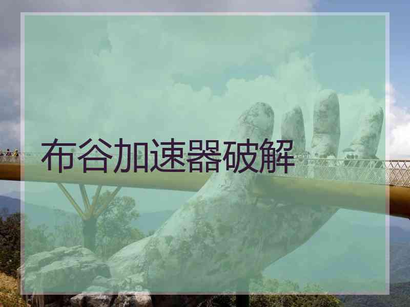 布谷加速器破解