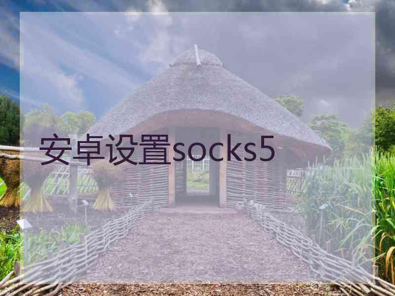 安卓设置socks5