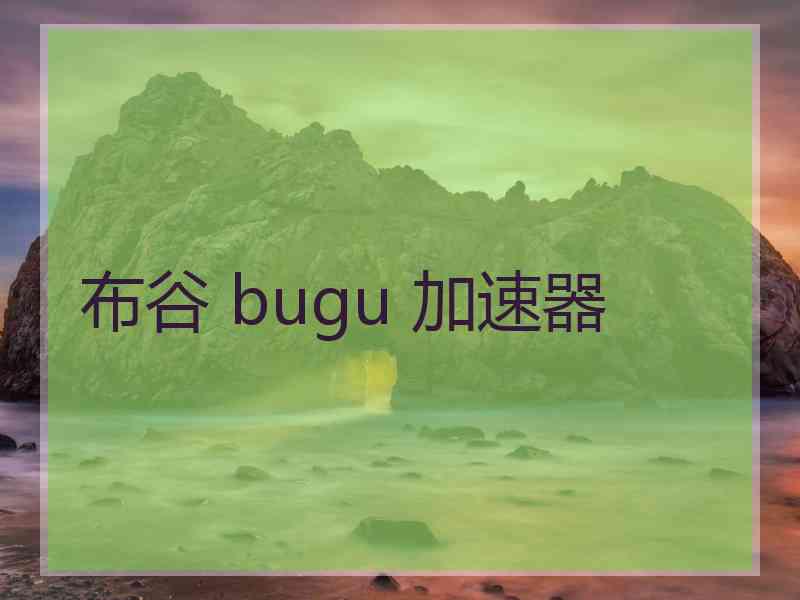 布谷 bugu 加速器