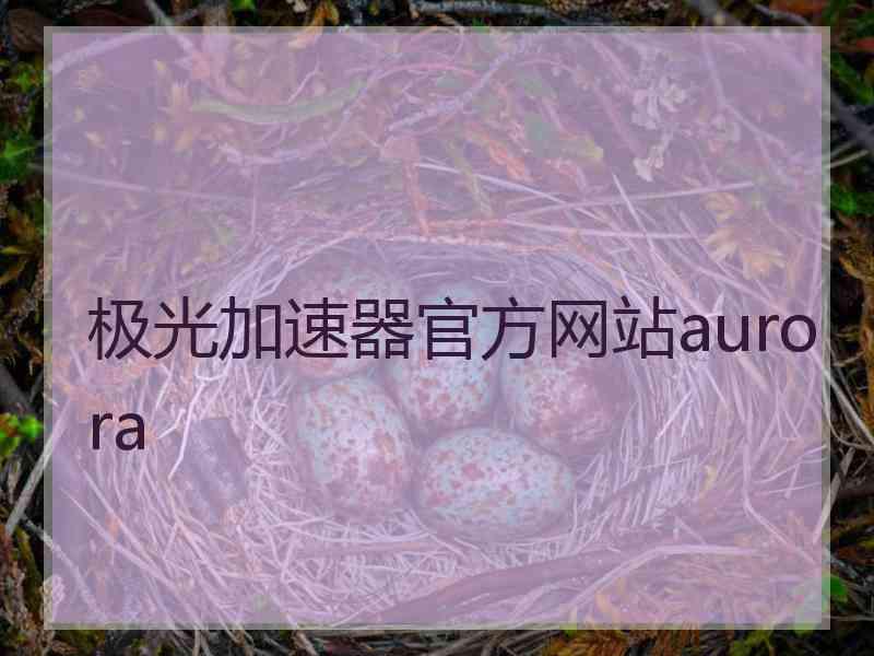 极光加速器官方网站aurora
