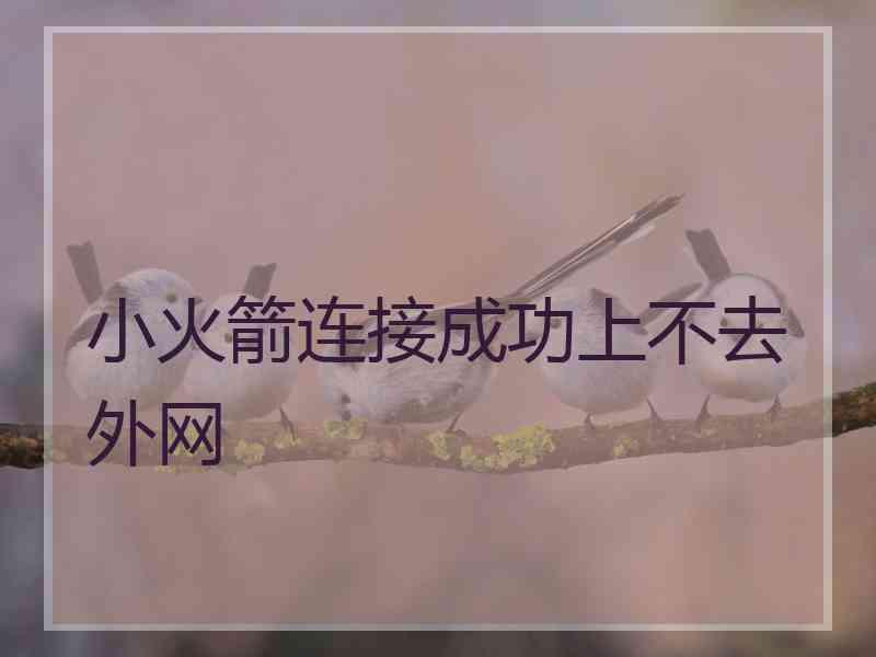 小火箭连接成功上不去外网