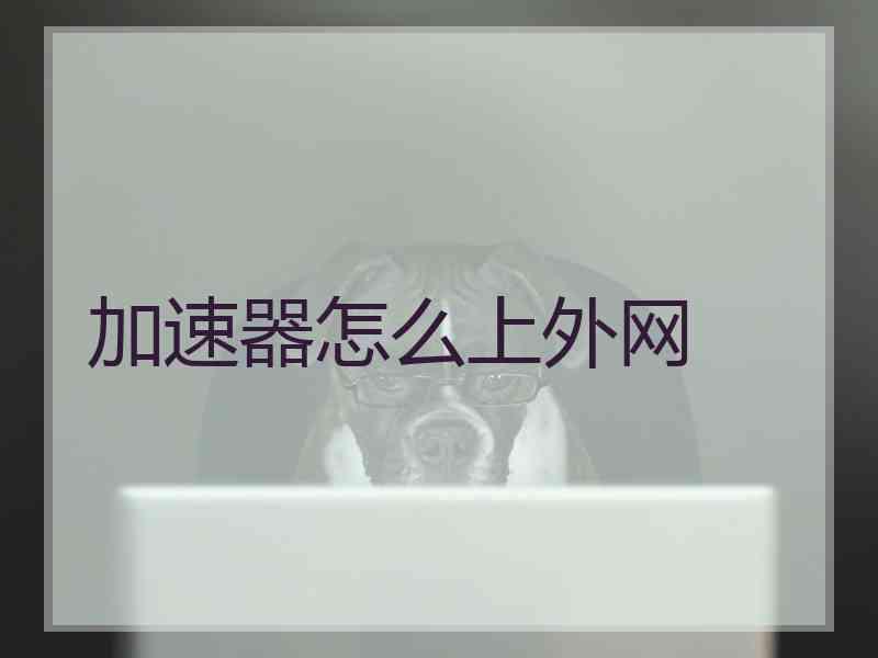 加速器怎么上外网