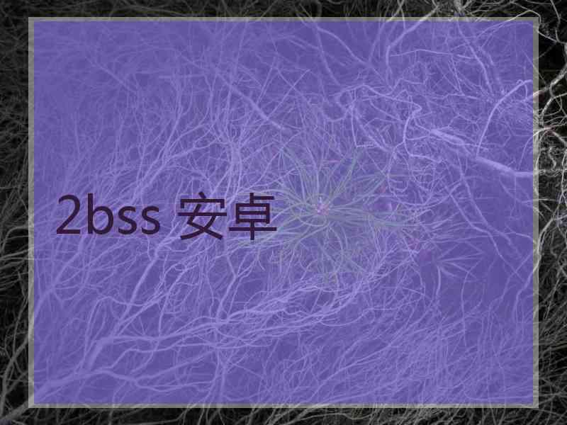 2bss 安卓