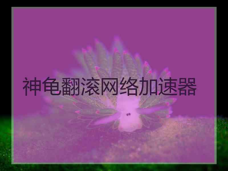 神龟翻滚网络加速器