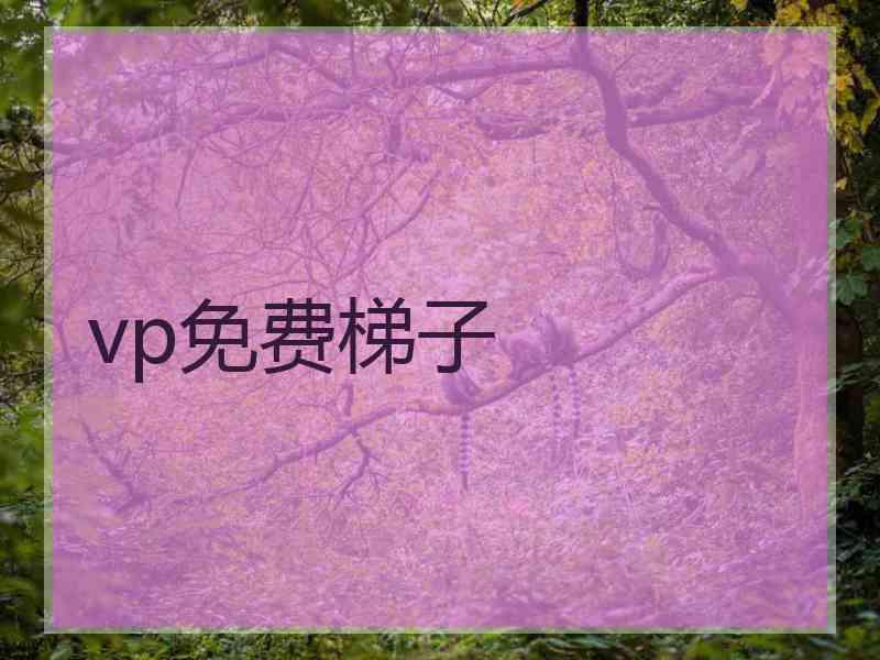 vp免费梯子