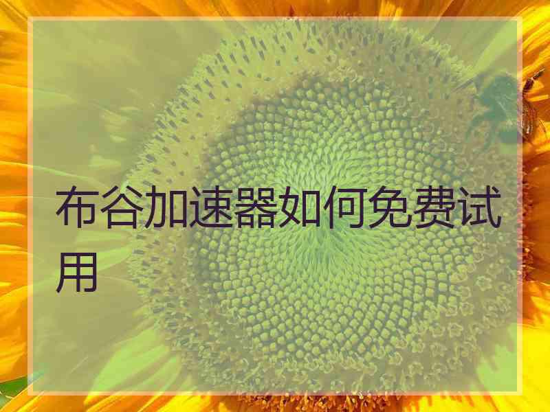 布谷加速器如何免费试用