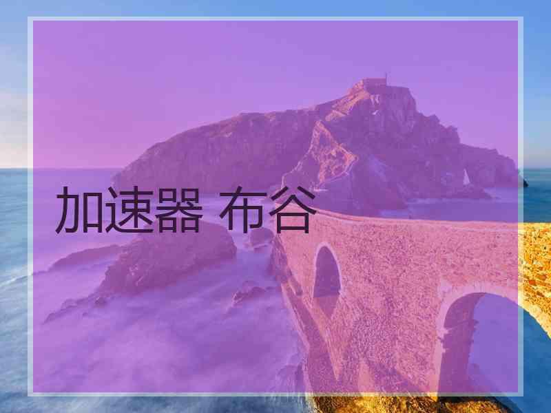 加速器 布谷